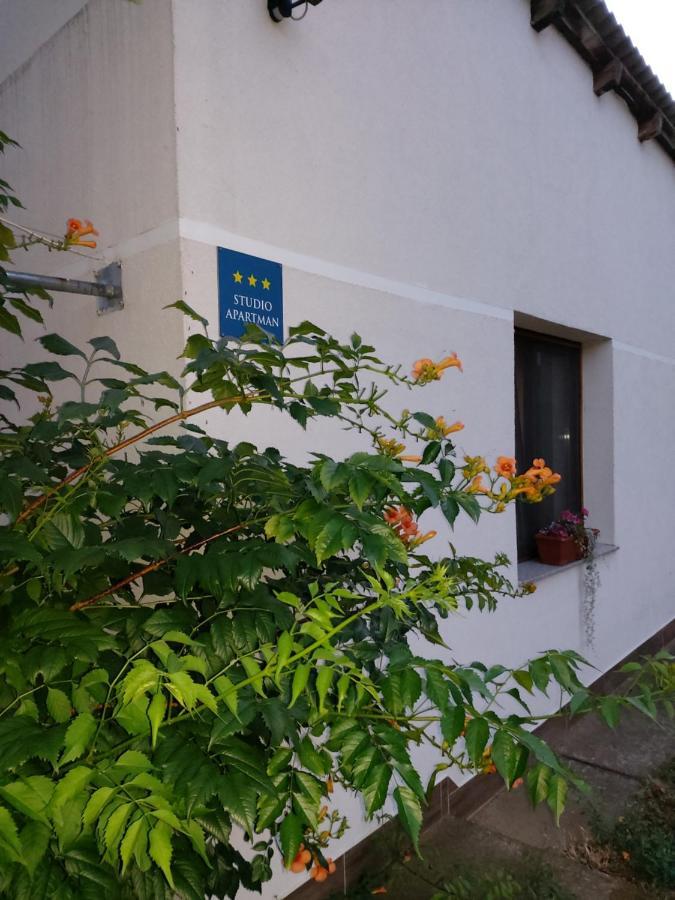 Studio Apartman Kotro Pélmonostor Kültér fotó