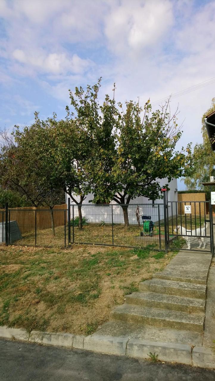 Studio Apartman Kotro Pélmonostor Kültér fotó